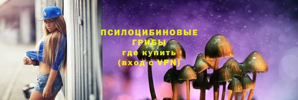 ешки Сафоново