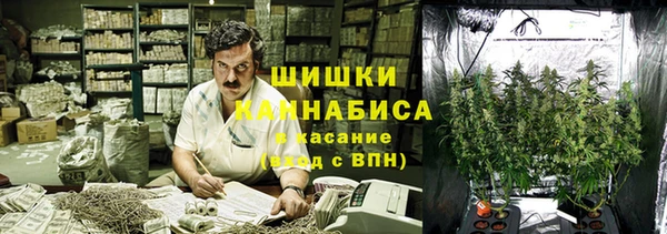 мдпв Сатка