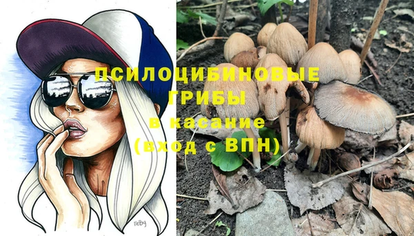 гашик Ростов