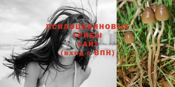 гашик Ростов