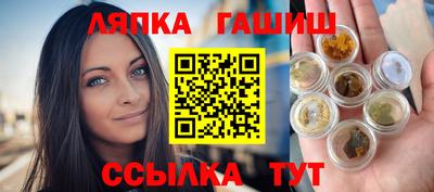 a pvp Новозыбков